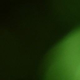 Bokeh-363
